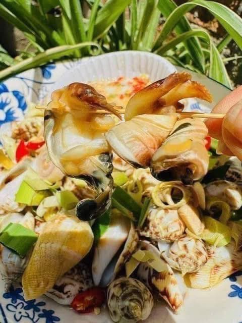 Bán ốc nhảy Bình Thuận tươi, thịt mập, giá 110k/2kg, lẻ 60k/kg, hấp +10k/kg kèm nước chấm. Miễn ship Vin. - 3/5