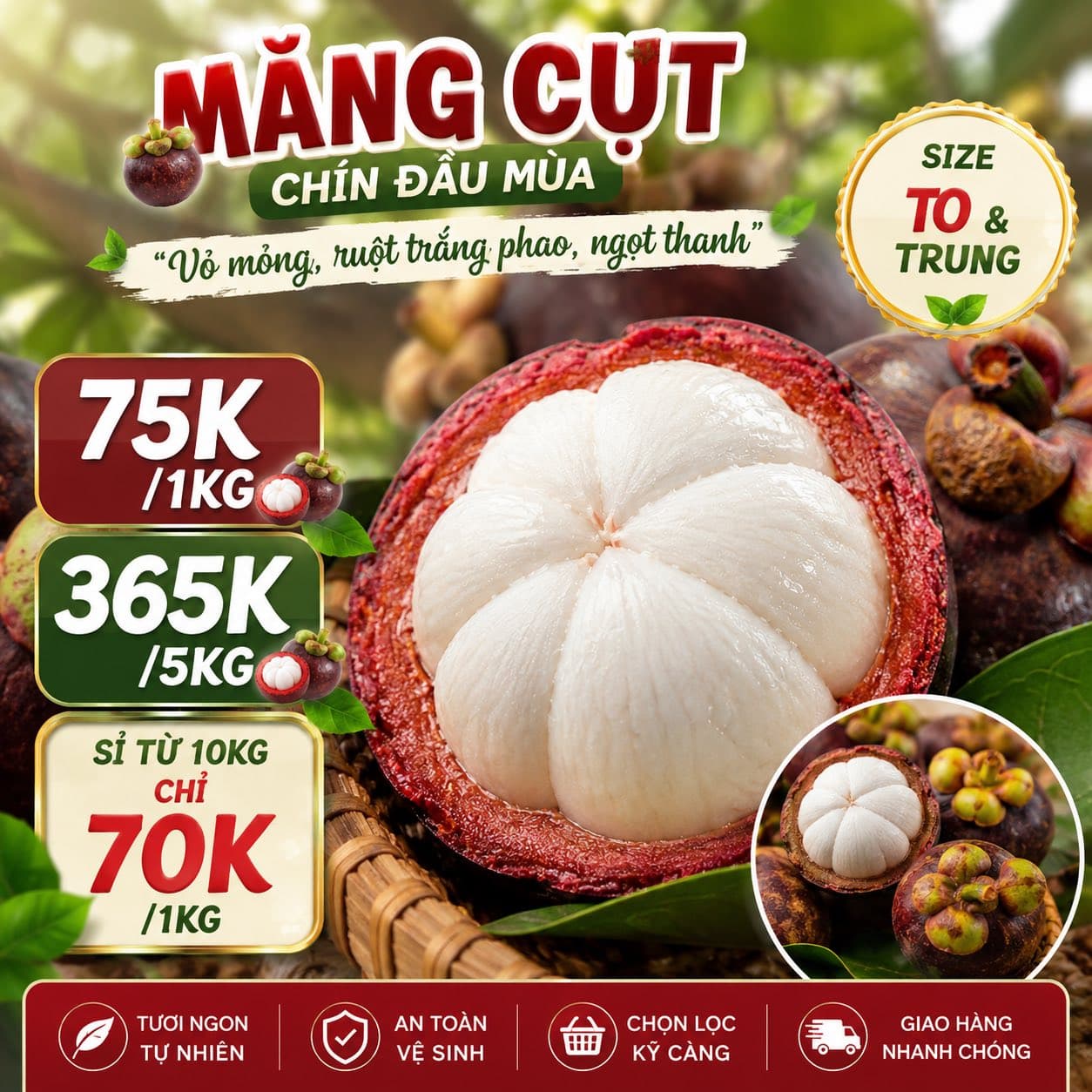 Bán măng cụt xanh, chín và combo gỏi gà măng cụt, giao hàng tại Bình Thạnh. Nhận sỉ cho quán, nhà hàng. Đặt trước 2 tiếng để chuẩn bị. - 3/5