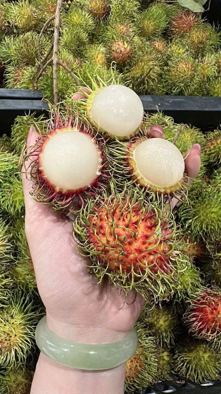 Bán chôm chôm Thái vườn nhà, không thuốc, 180k/set 4kg. Cơm dày, ngọt, nhận đặt hàng và giao tận nơi. Có thể vào vườn hái nếu thích. - 1/2