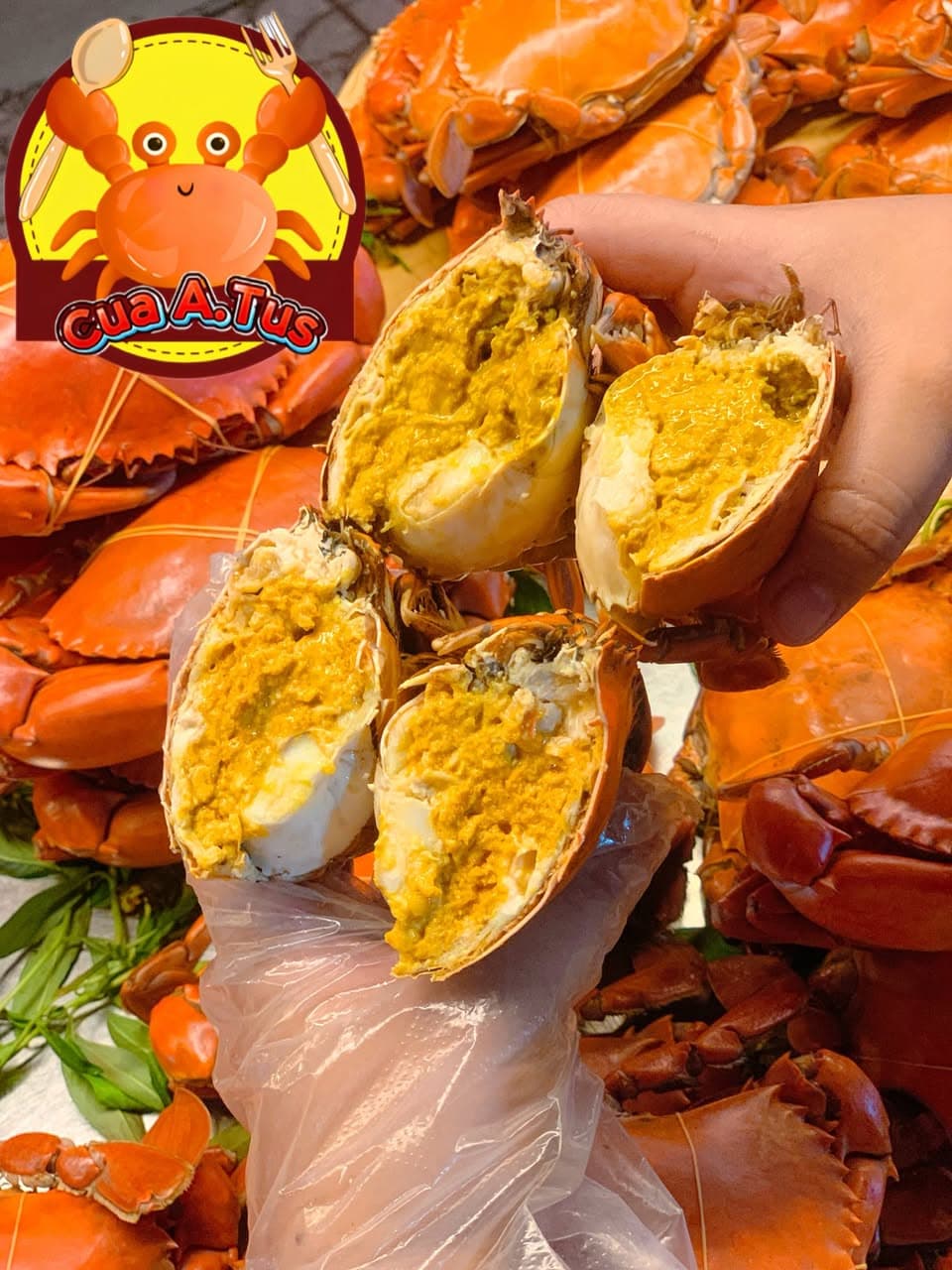 Cua Cà Mau hấp sẵn, tươi sống, không đông lạnh. Giá từ 50k/con. Có chế biến sốt me, bơ tỏi, trứng muối. Ship khu vực Quận 9, miễn phí hấp kèm nước chấm. - 5/5