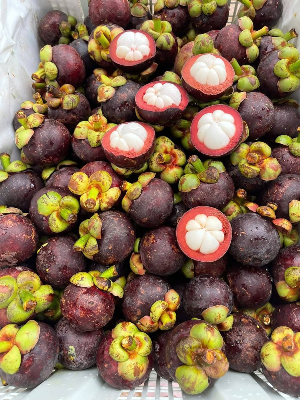 Bán măng cụt ngọt ngon 75K/kg, mua 2kg tặng 0,5kg mận hậu. Trái cây tươi mới, bao ăn từng trái. Free ship khu Vinhomes. Liên hệ Zalo: 0844788000. - 1/4