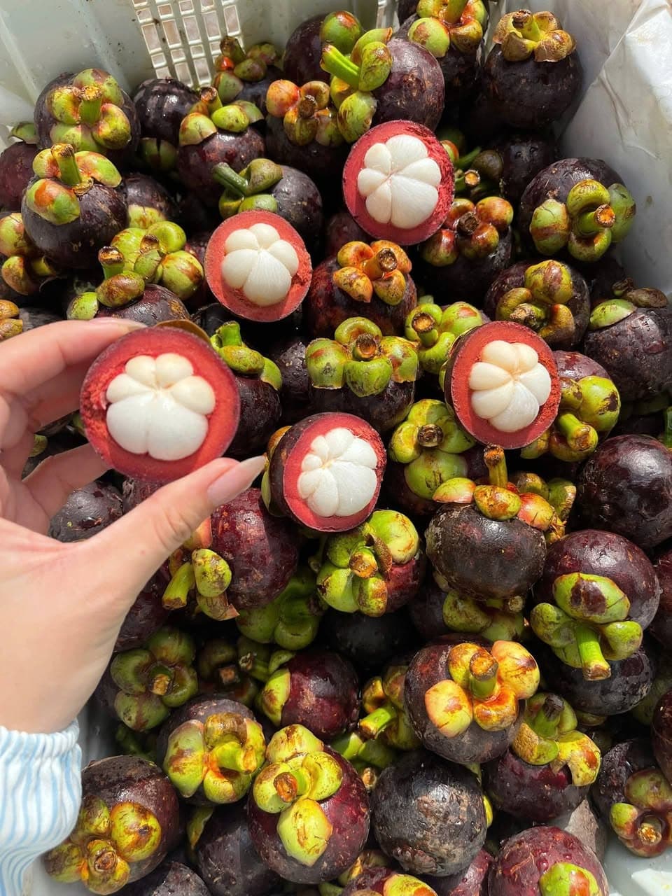Bán măng cụt ngọt ngon 75K/kg, mua 2kg tặng 0,5kg mận hậu. Trái cây tươi mới, bao ăn từng trái. Free ship khu Vinhomes. Liên hệ Zalo: 0844788000. - 2/4