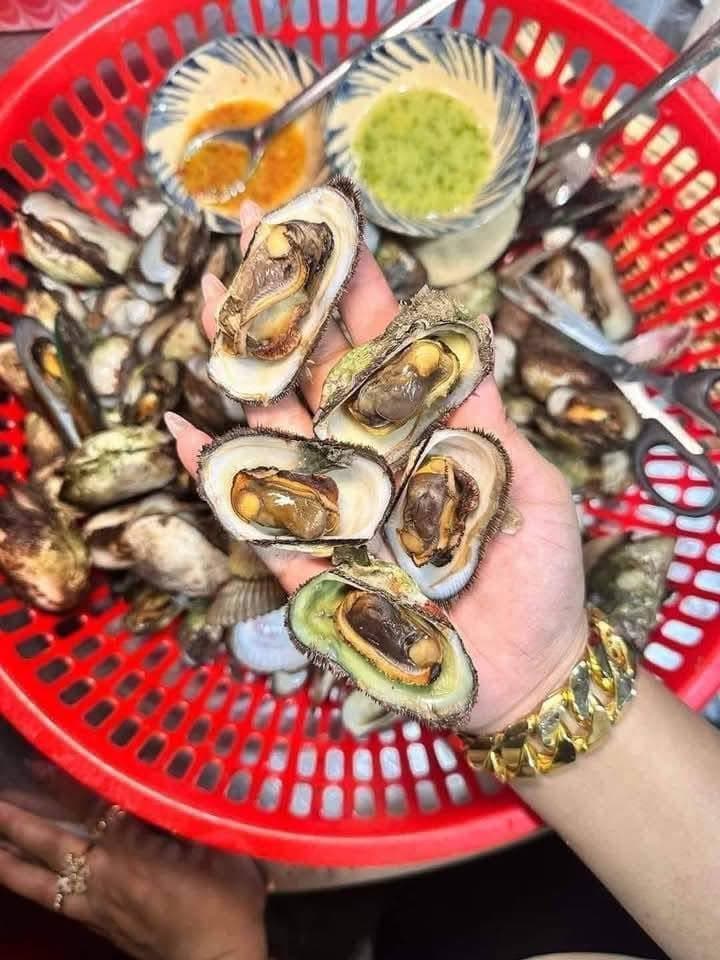 Bán sò đá Cam Ranh tươi sống, thịt béo ngọt, giá 95K/2kg hoặc 130K/3kg. Bao sống, bao kiểm hàng, ship tận nơi 20k-30k. Liên hệ 0933754543. - 1/5