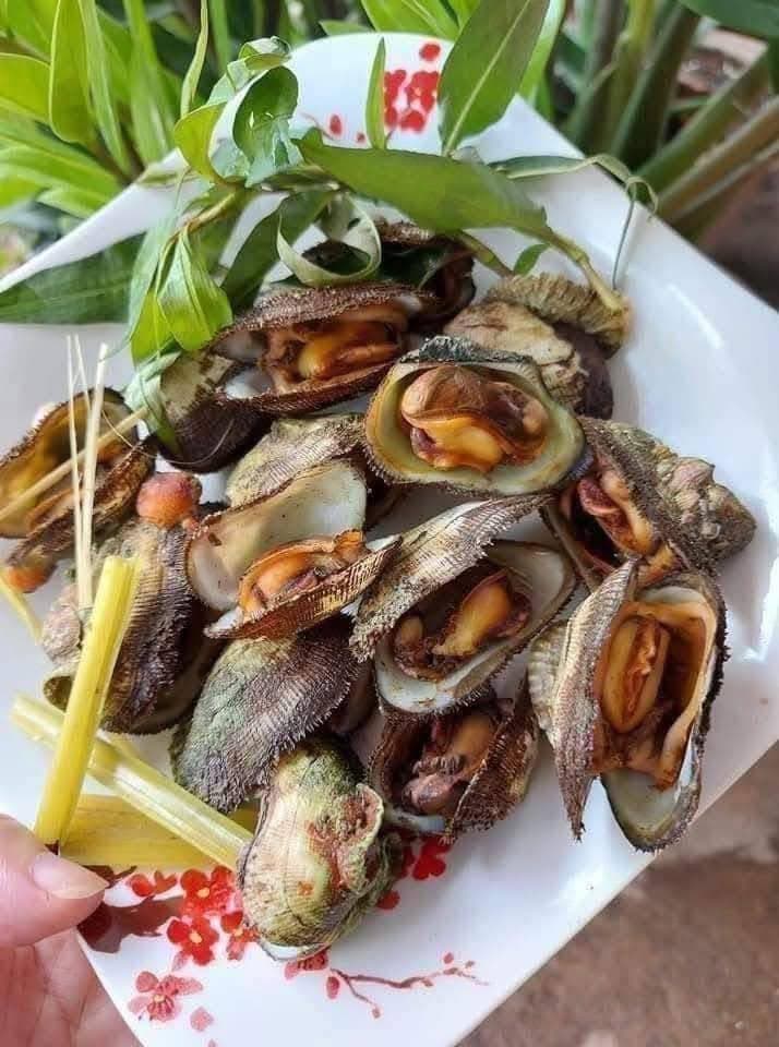 Bán sò đá Cam Ranh tươi sống, thịt béo ngọt, giá 95K/2kg hoặc 130K/3kg. Bao sống, bao kiểm hàng, ship tận nơi 20k-30k. Liên hệ 0933754543. - 2/5