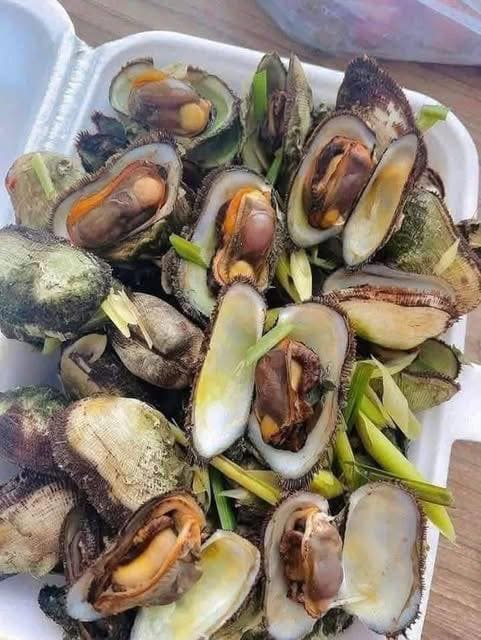 Bán sò đá Cam Ranh tươi sống, thịt béo ngọt, giá 95K/2kg hoặc 130K/3kg. Bao sống, bao kiểm hàng, ship tận nơi 20k-30k. Liên hệ 0933754543. - 4/5