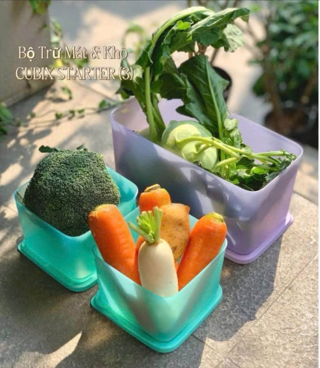 Bộ trữ mát – trữ khô Tupperware Cubix Starter, gồm hộp 3.1L và 2 hộp 1L, giúp bảo quản thực phẩm khô, tối ưu không gian tủ, an toàn cho sức khỏe. - 1/5