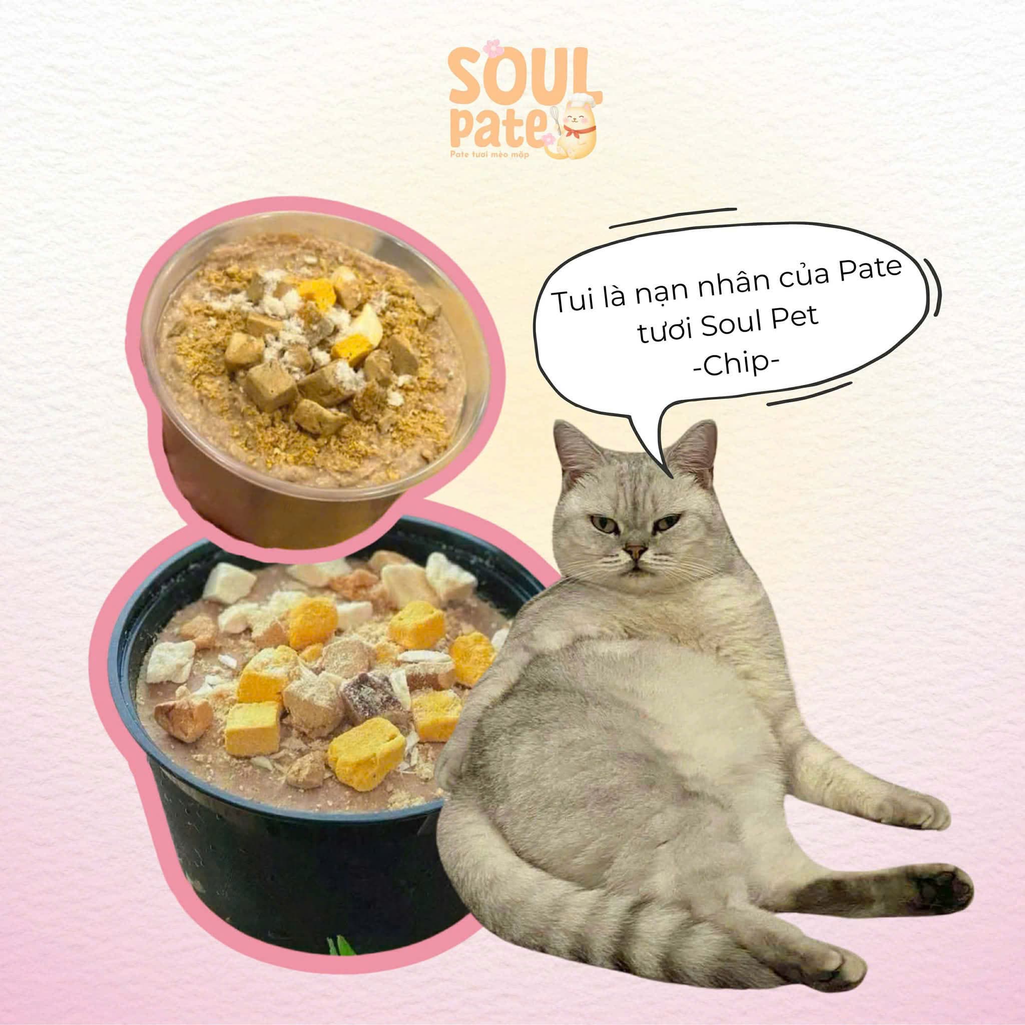 Bán thức ăn cho thú cưng (pate cá, pate gà, thịt bò, chim cút) kèm khuyến mãi hấp dẫn tại M5-03 Vinhomes Grand Park. Liên hệ: 0986200202. - 1/5