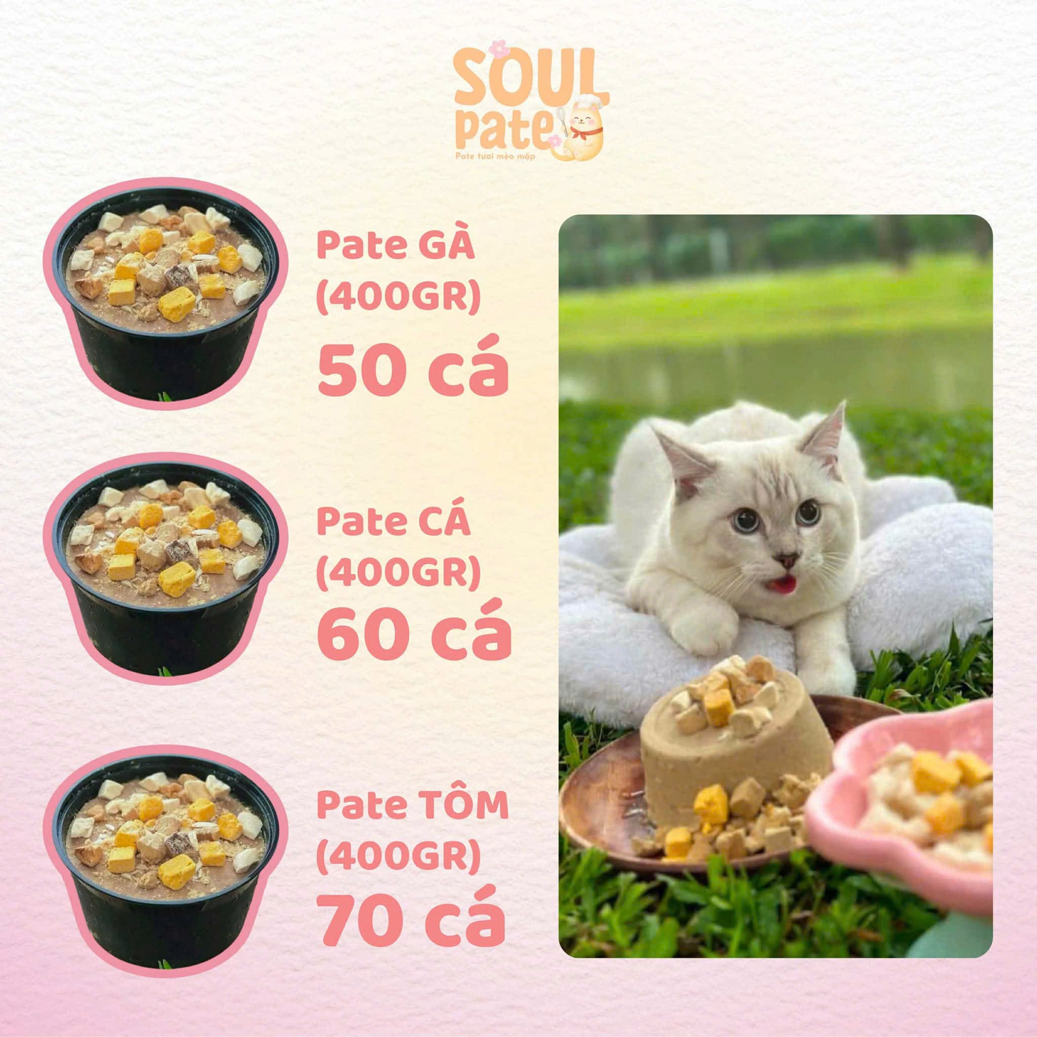 Bán thức ăn cho thú cưng (pate cá, pate gà, thịt bò, chim cút) kèm khuyến mãi hấp dẫn tại M5-03 Vinhomes Grand Park. Liên hệ: 0986200202. - 2/5