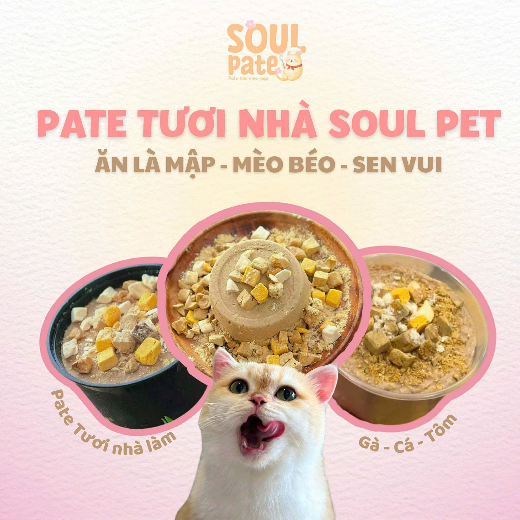 Bán thức ăn cho thú cưng (pate cá, pate gà, thịt bò, chim cút) kèm khuyến mãi hấp dẫn tại M5-03 Vinhomes Grand Park. Liên hệ: 0986200202. - 4/5