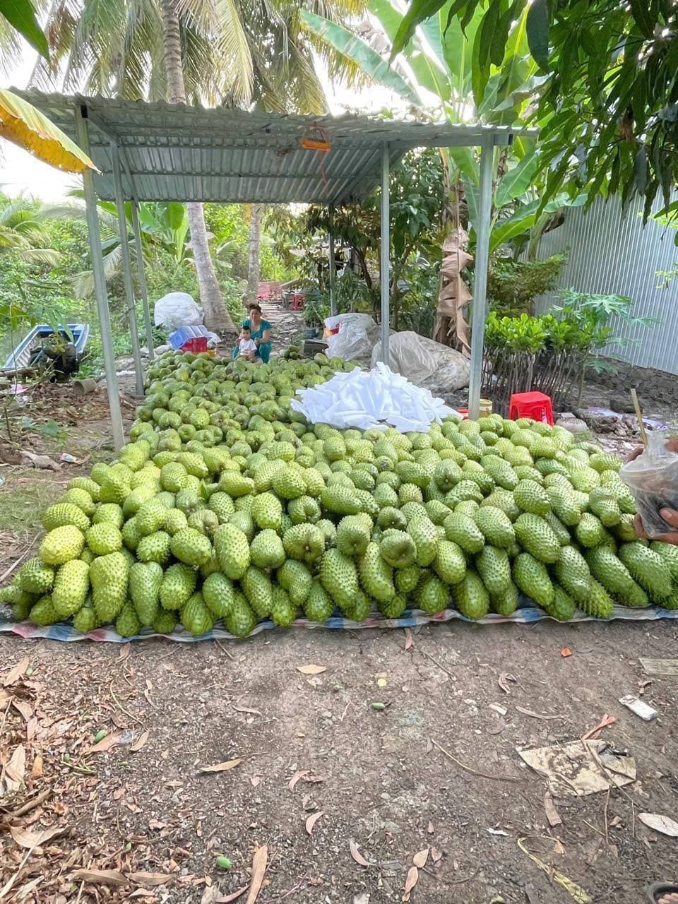 Bán thực phẩm số lượng lớn, giao hàng tận nhà miễn phí cho đơn từ 100 ký trở lên. Liên hệ Zalo 0972757772. - 1/5