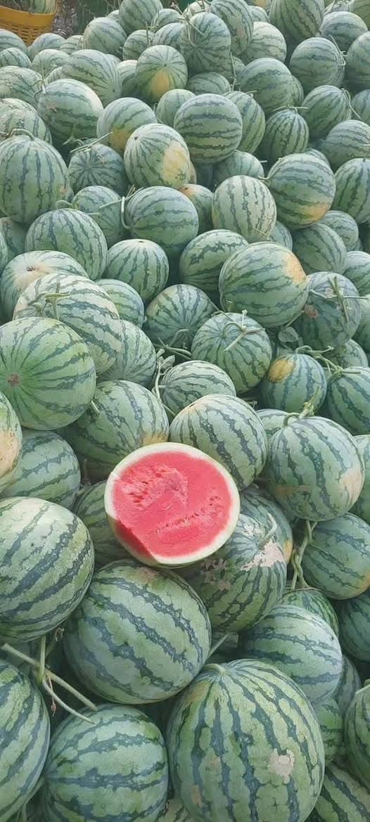 Bán thực phẩm số lượng lớn, giao hàng tận nhà miễn phí cho đơn từ 100 ký trở lên. Liên hệ Zalo 0972757772. - 2/5