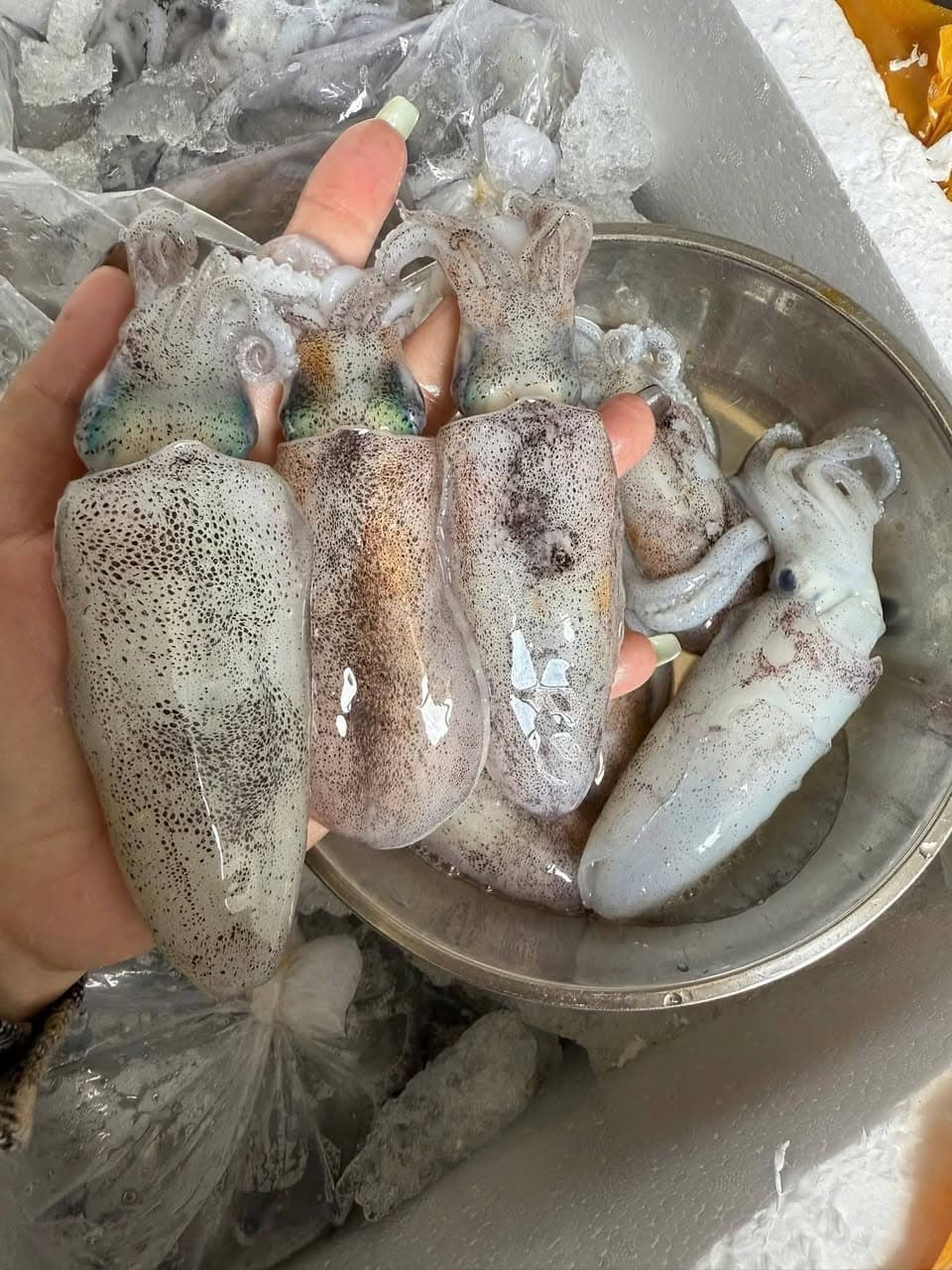 Bán hải sản tươi sống, gà tre, trứng gà, ship miễn phí Vinhomes. Giá từ 85k, nhiều loại mực, tôm, sò, ốc, giao tận nơi. - 1/5