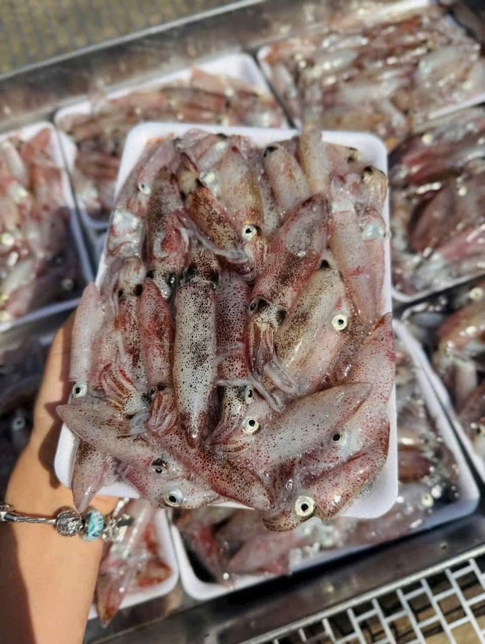 Bán mực tép nháy biển Phú Yên cấp đông, bột bánh xèo, mắm nêm, bánh tráng gạo. Nguyên liệu tươi ngon cho bữa ăn gia đình. Liên hệ 0375061802. - 1/5