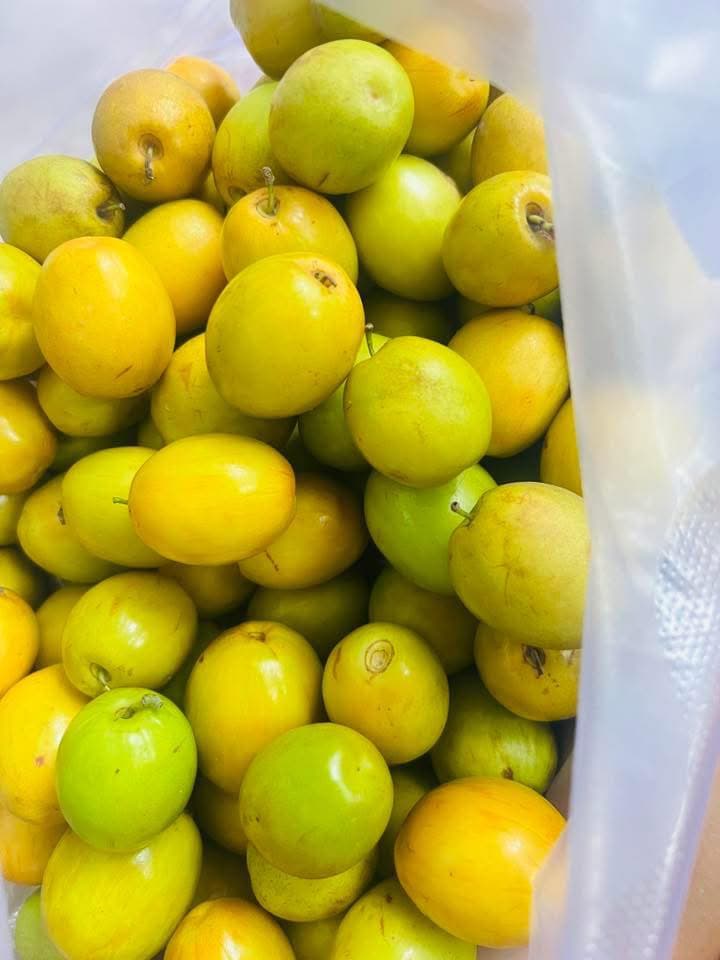 Bán mận An Phước, samboche, táo chua tươi, giá từ 60k-80k/3kg, có giao hàng tận nơi. Liên hệ Zalo 0909944890. - 1/5