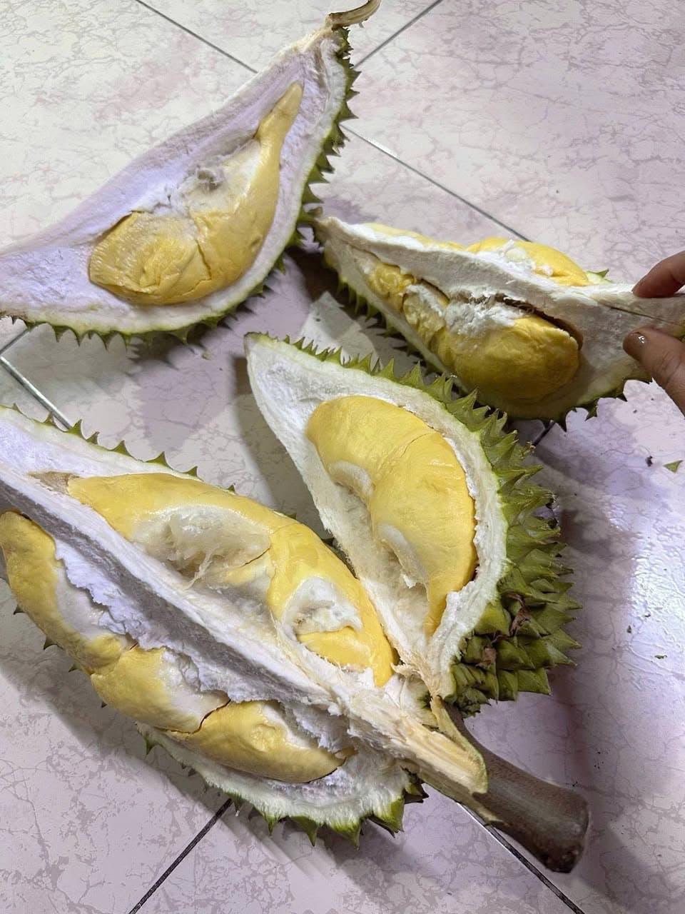 Bán sầu riêng nhà trồng, cam kết sạch không thuốc, nguyên trái 60k/kí, cơm sầu 230k/kí, freeship nội khu, liên hệ 0939798303. - 5/5