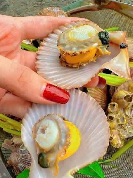 Bán sò điệp đỏ size lớn, tươi sống, 95k/kg (20-25 con), miễn ship tại S2-05 Vin. Liên hệ 0974406022. - 2/4