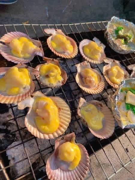 Bán sò điệp đỏ size lớn, tươi sống, 95k/kg (20-25 con), miễn ship tại S2-05 Vin. Liên hệ 0974406022. - 4/4