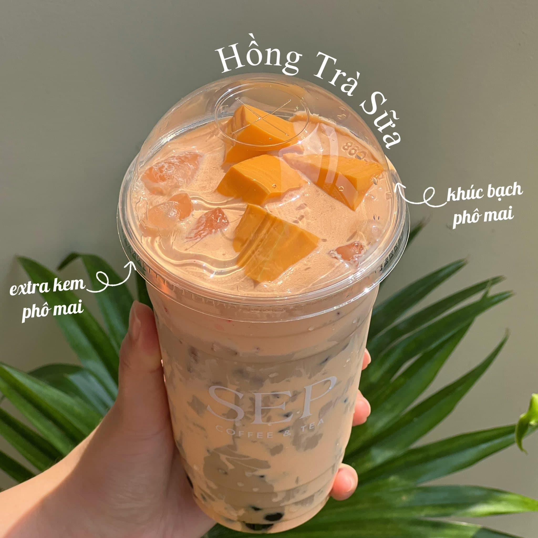 Sep Food & Coffee nhận order nước uống, bắp xào, bánh tráng trộn, giao hàng nội khu Vinhomes Grand Park, freeship đơn từ 50k. Đặt qua Zalo/SĐT 0339079839. - 1/5