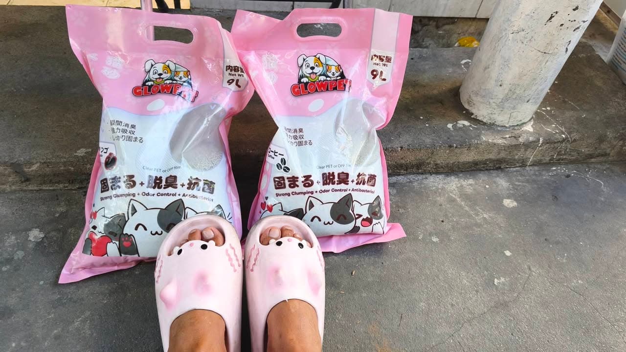 Bán cát Nhật 9L cho mèo giá 40k/túi, mua 5 tặng 1. Liên hệ để đặt hàng cho thú cưng của bạn. - 1/3