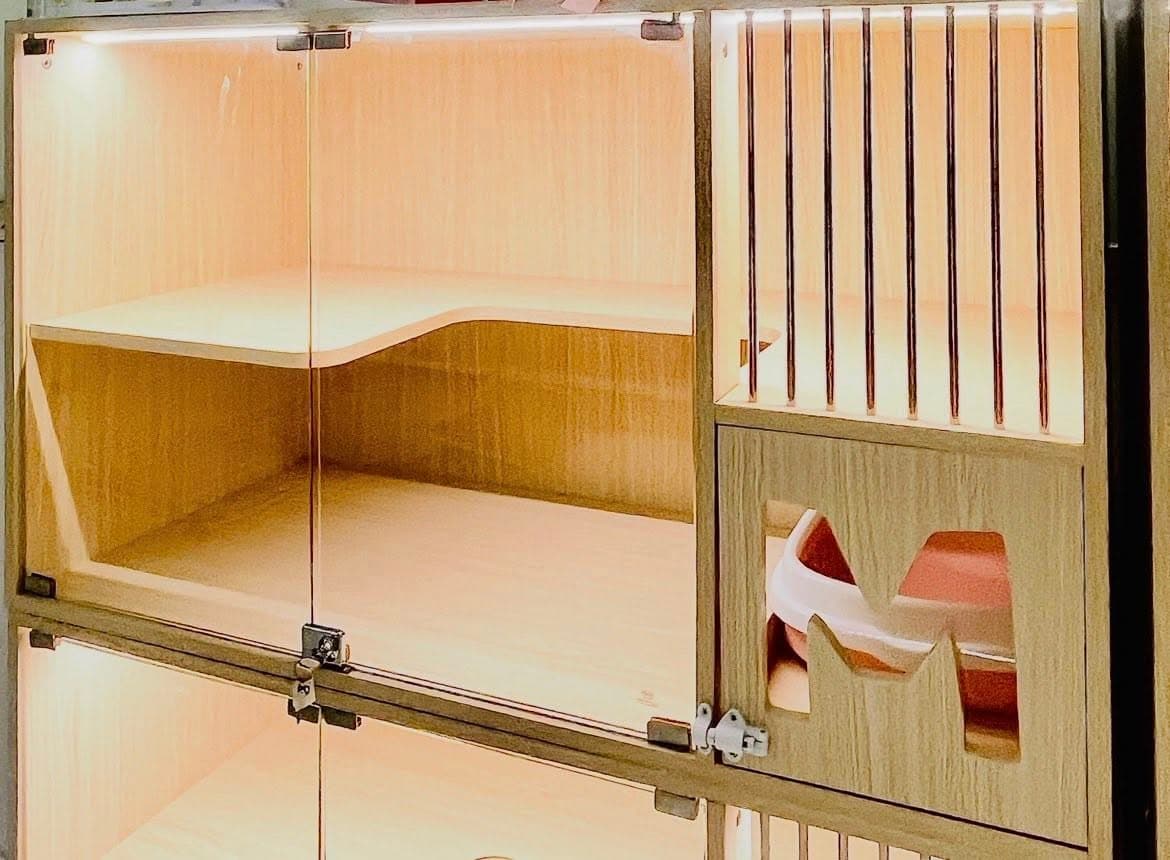 Hotel Mèo Ú nhận trông giữ mèo dịp lễ 30/4, phòng sạch sẽ, có người chăm sóc, miễn phí đưa đón dưới 5km tại Thủ Đức. Liên hệ đặt chỗ sớm. - 2/4
