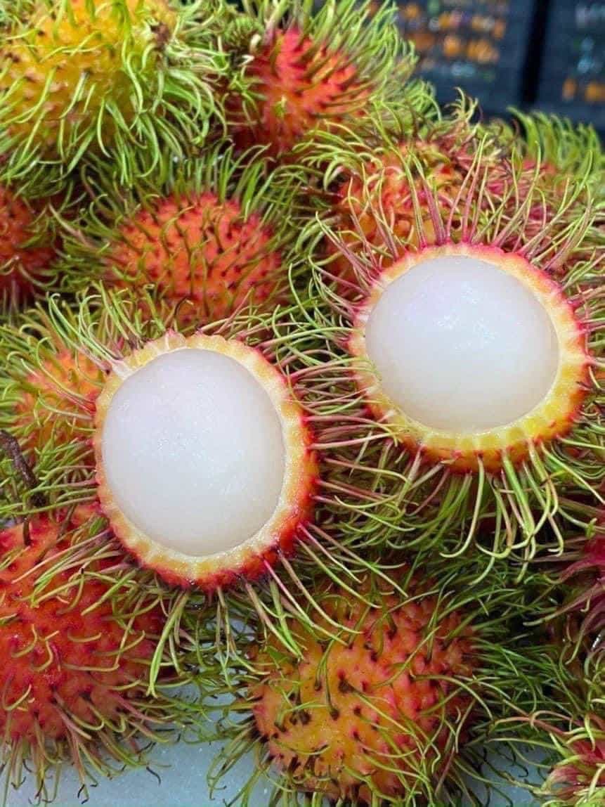 Bán chôm chôm Thái Long Khánh, hái sáng giao chiều, bao tươi ngọt. Miễn ship Vin. Giá 110k/2kg. Liên hệ 0902811248. - 3/4