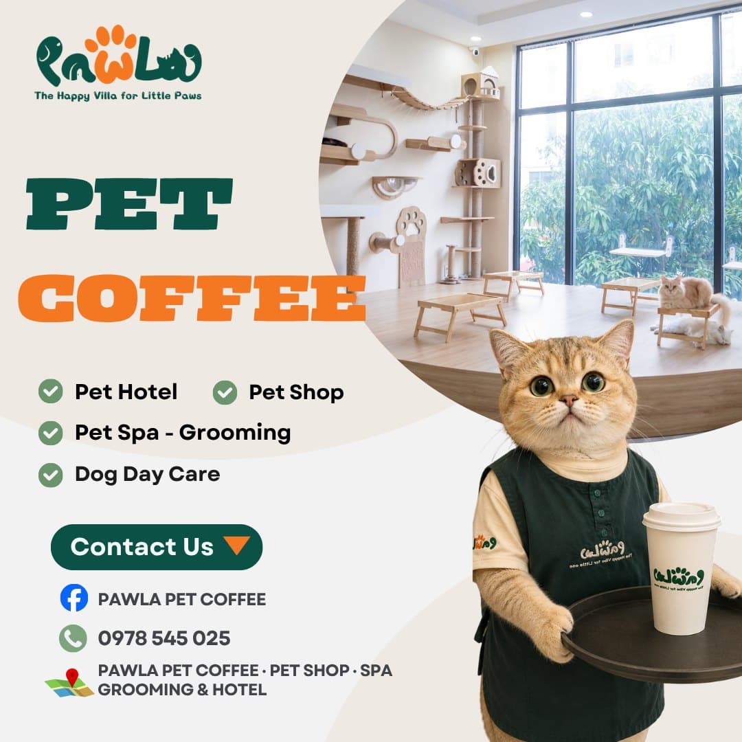 PawLa Pet Coffee cung cấp dịch vụ chăm sóc, lưu trú, nhà trẻ, tắm & grooming cho thú cưng tại Vinhomes Grand Park. Không gian cà phê mèo, chăm sóc toàn diện, hotline 0978 545 025. - 1/5