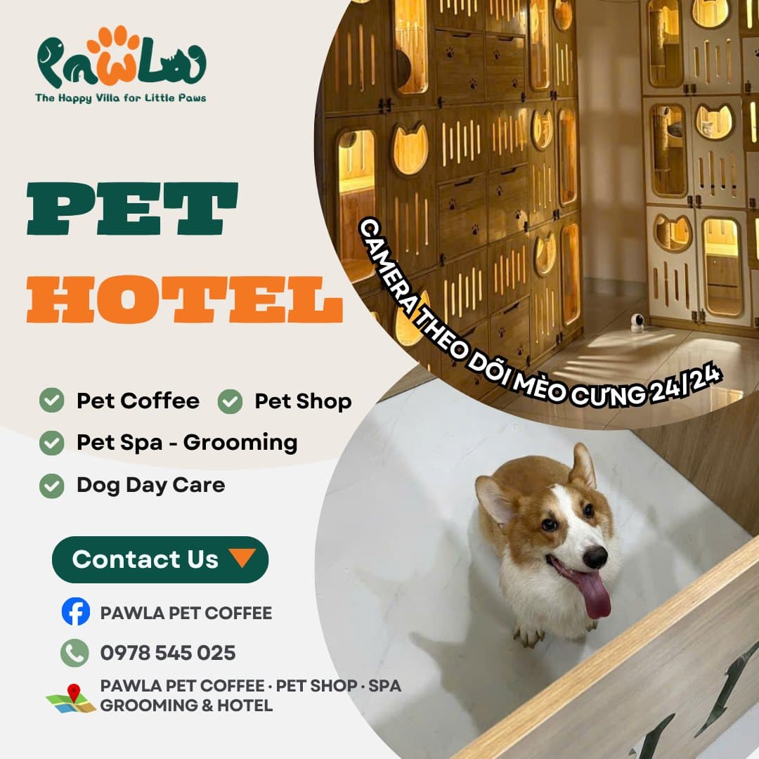 PawLa Pet Coffee cung cấp dịch vụ chăm sóc, lưu trú, nhà trẻ, tắm & grooming cho thú cưng tại Vinhomes Grand Park. Không gian cà phê mèo, chăm sóc toàn diện, hotline 0978 545 025. - 2/5