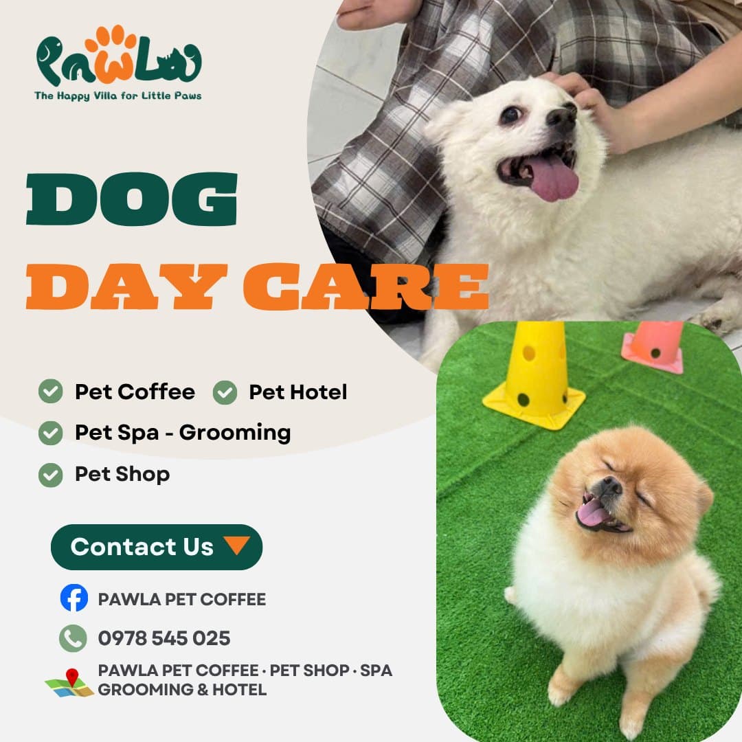 PawLa Pet Coffee cung cấp dịch vụ chăm sóc, lưu trú, nhà trẻ, tắm & grooming cho thú cưng tại Vinhomes Grand Park. Không gian cà phê mèo, chăm sóc toàn diện, hotline 0978 545 025. - 3/5