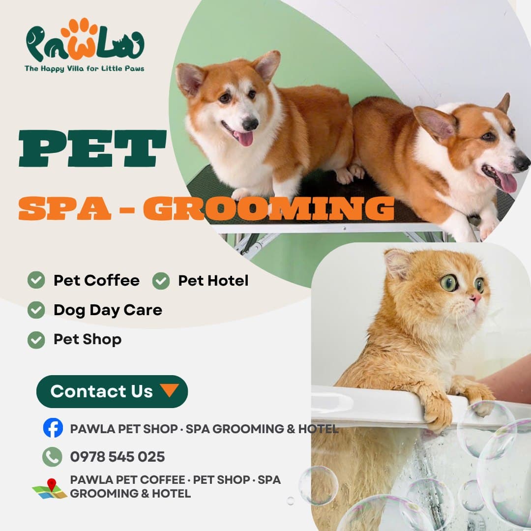 PawLa Pet Coffee cung cấp dịch vụ chăm sóc, lưu trú, nhà trẻ, tắm & grooming cho thú cưng tại Vinhomes Grand Park. Không gian cà phê mèo, chăm sóc toàn diện, hotline 0978 545 025. - 4/5