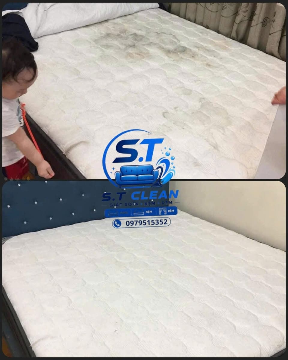 Dịch vụ S.T Clean chuyên giặt sofa, nệm, rèm, thảm tận nơi với dung dịch an toàn cho da, phù hợp gia đình có trẻ nhỏ, thú cưng. - 2/5