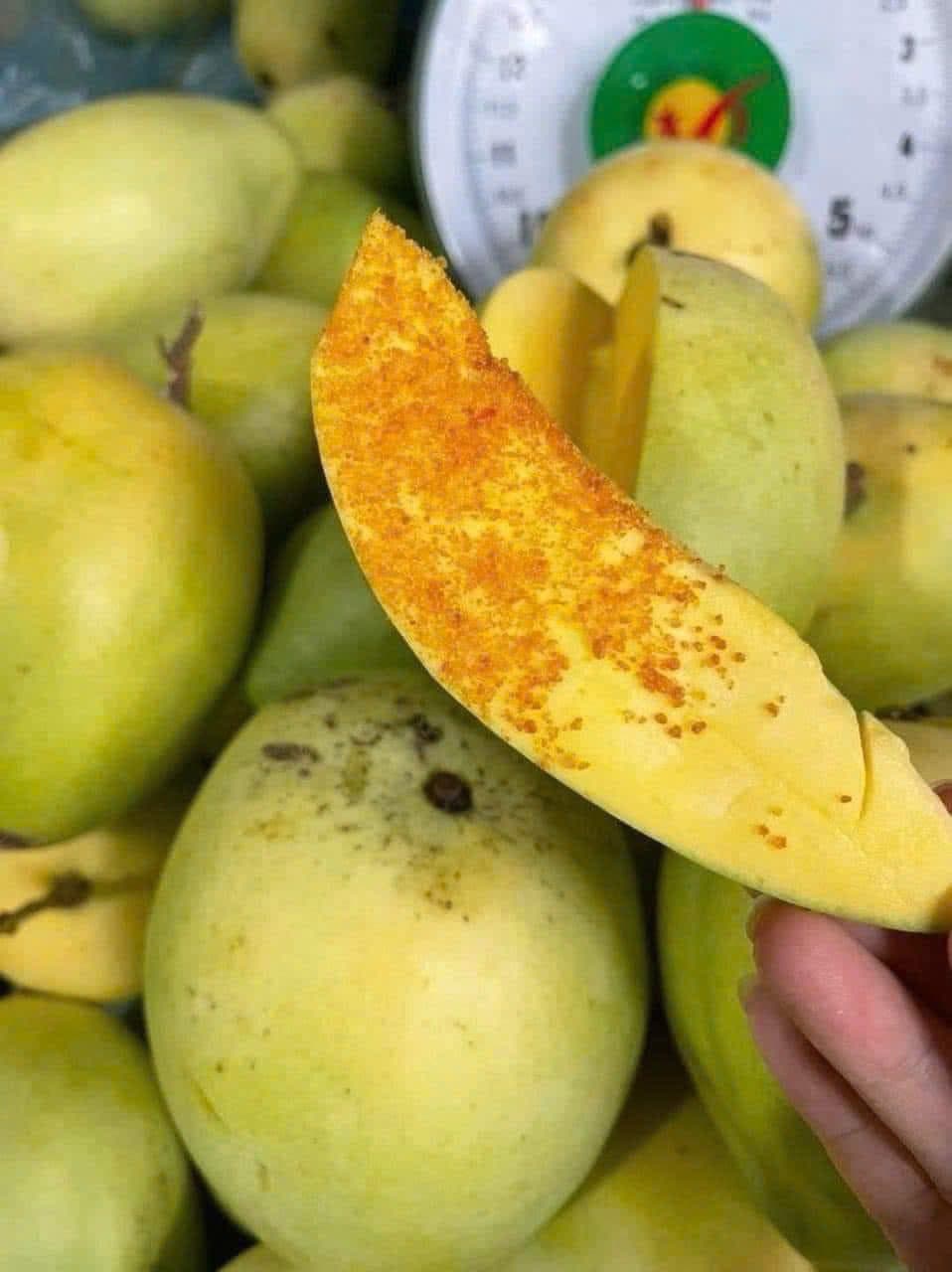 Bán xoài tứ quí già, trái giòn ngon, giá 90k/3kg, nhận giao hàng tận nơi. Liên hệ 0909944890 để đặt hàng. - 3/4