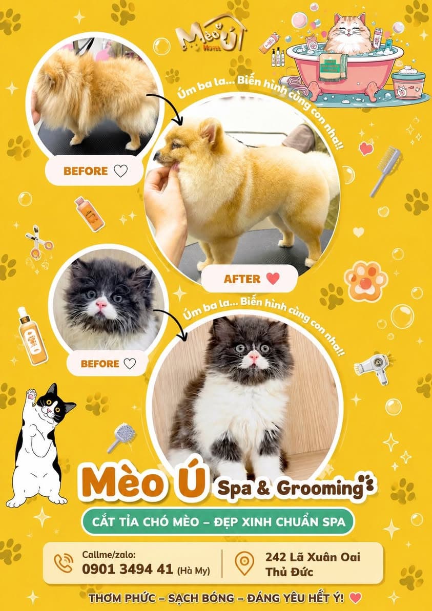 Dịch vụ spa & grooming cho chó mèo: tắm sạch, cắt tỉa lông gọn gàng, giúp thú cưng thơm tho và đẹp hơn. Liên hệ Hà My để đặt lịch. - 1/4