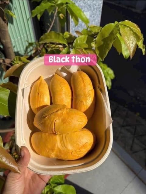 Bán 20 trái black mini cho khách dùng thử, giá 169k/ki (4-5 hộc), giao tại Hiệp Bình Chánh, Thủ Đức. Liên hệ 0937305527. Ship 30k. - 3/4
