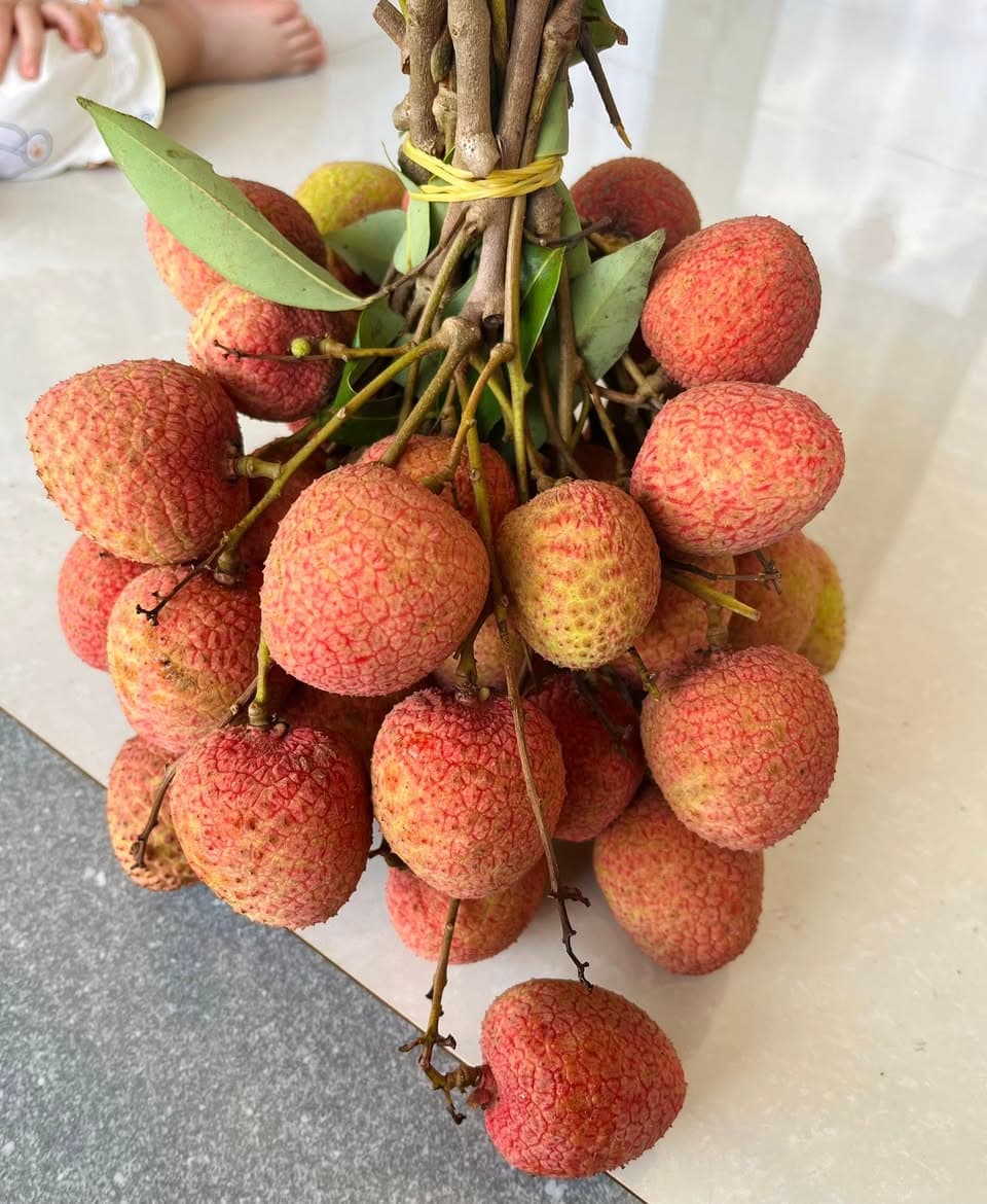 Bán vải Đăk Lăk tươi, trái to, ngọt, giá ưu đãi theo số lượng: 1kg 40k, 2kg 75k, 3kg 110k. Nhận đơn và ship vào Thứ 4. Liên hệ qua bình luận hoặc nhắn tin. - 4/4